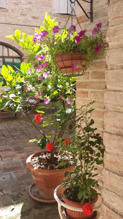 Relais Corte Dei Turchi Longiano